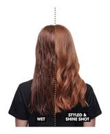 duet style 2 in 1 hot air styler